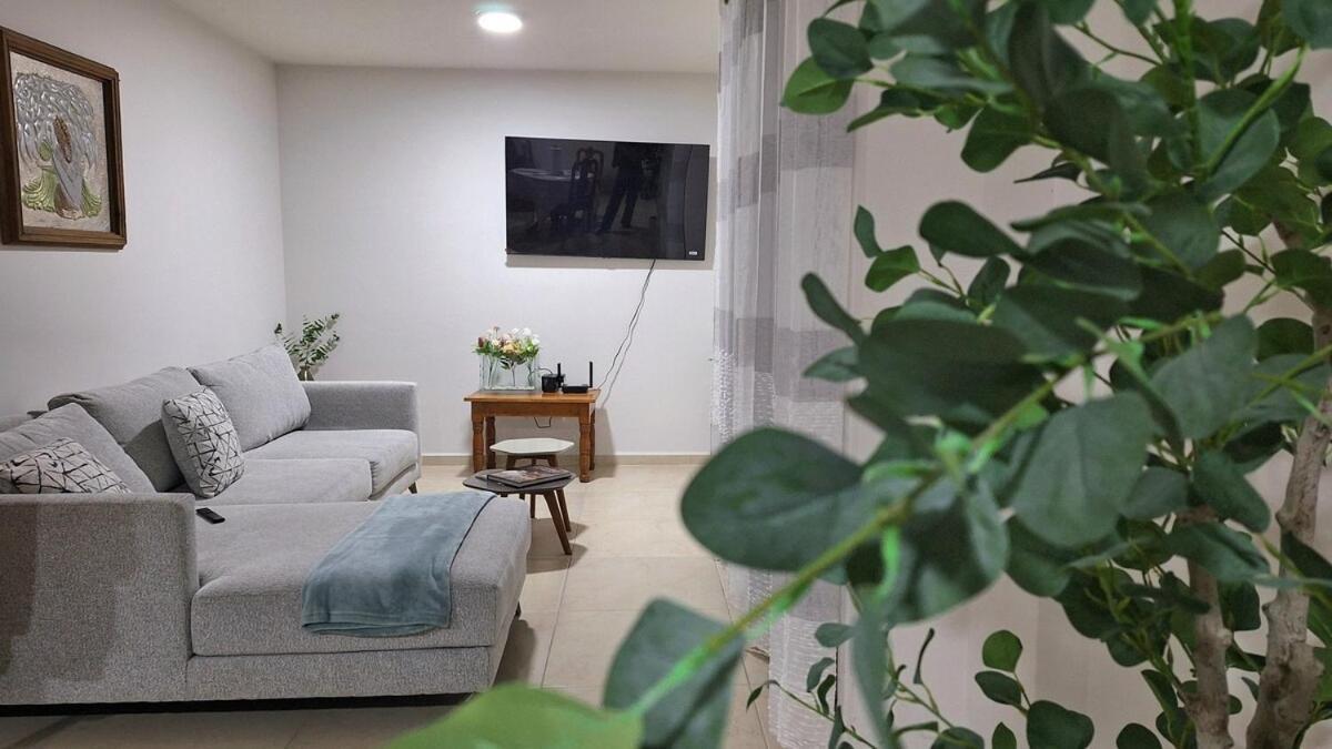 Ferienwohnung Departamento Tequis, Totalmente Nuevo En El Corazon De Slp San Luis Potosí Exterior foto